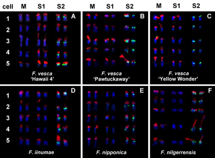 figure2