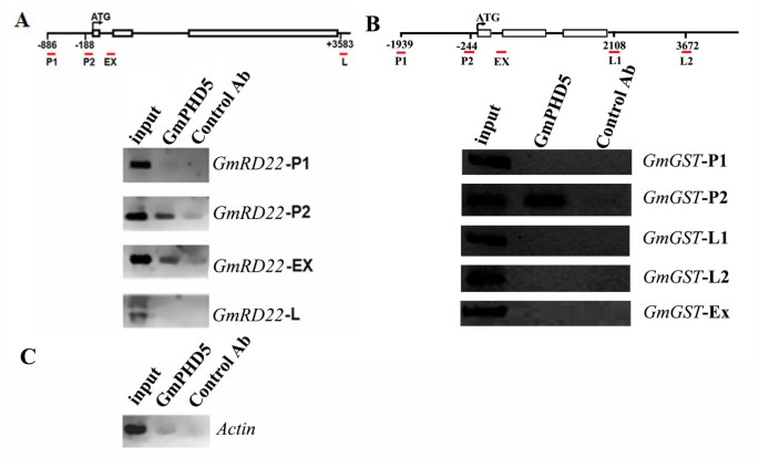 figure7gydF4y2Ba