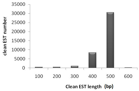 figure2