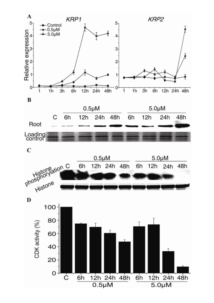 figure5