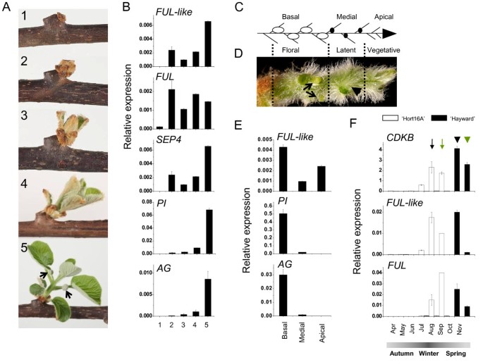 figure6