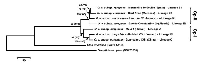 figure2