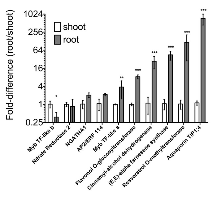 figure7