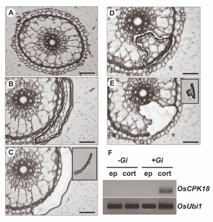 figure2