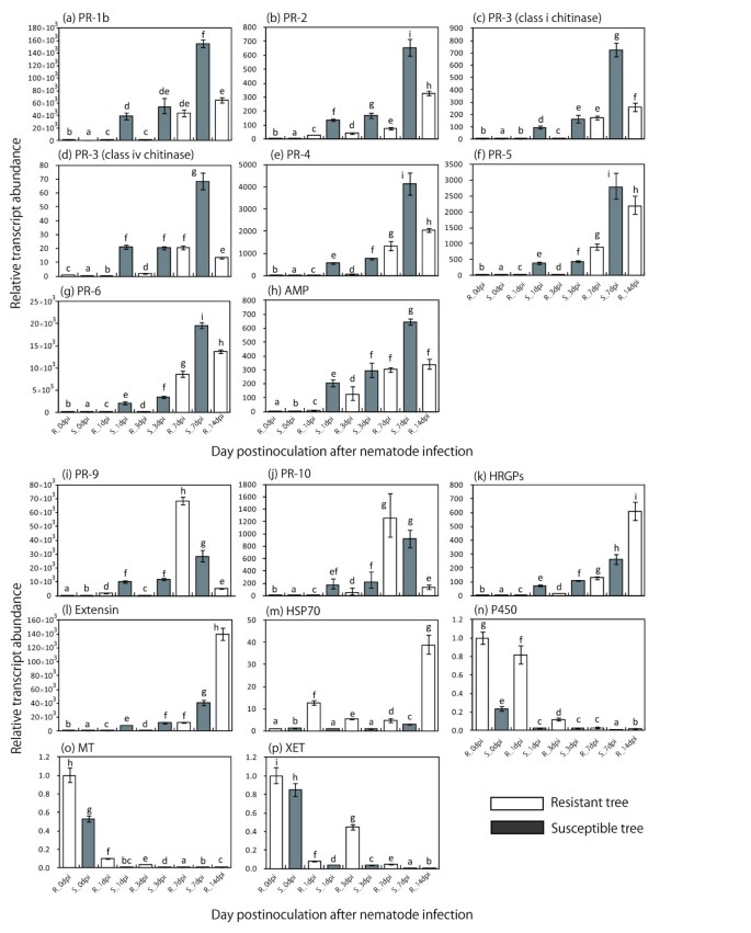 figure2