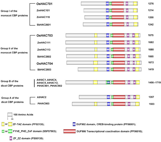 figure2