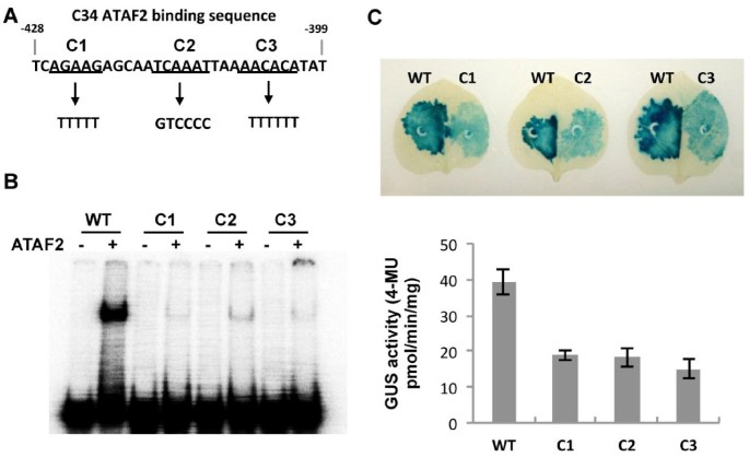 figure6