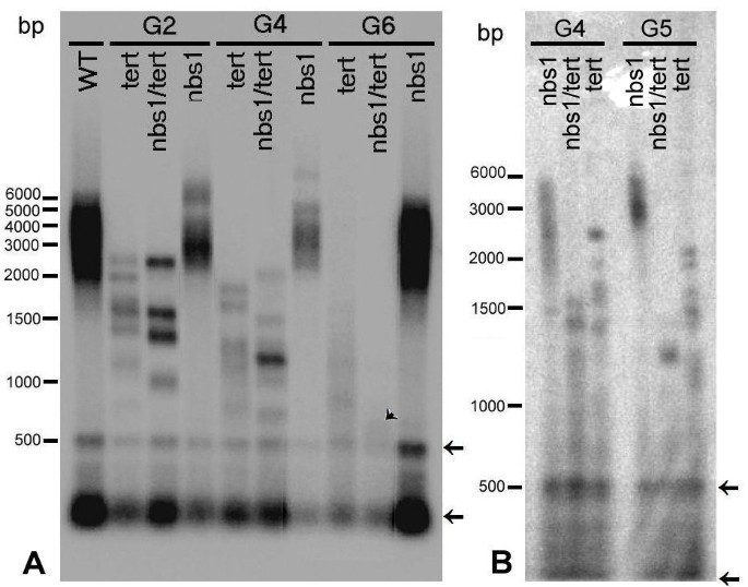 figure7