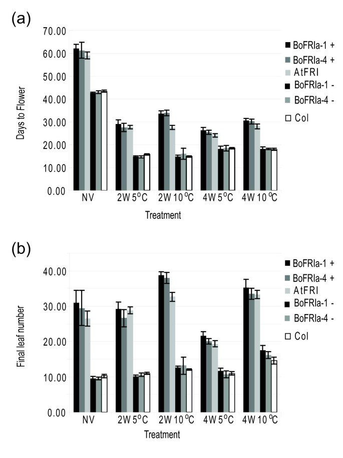 figure6