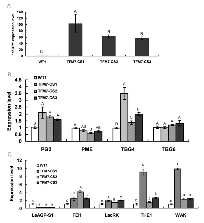 figure7