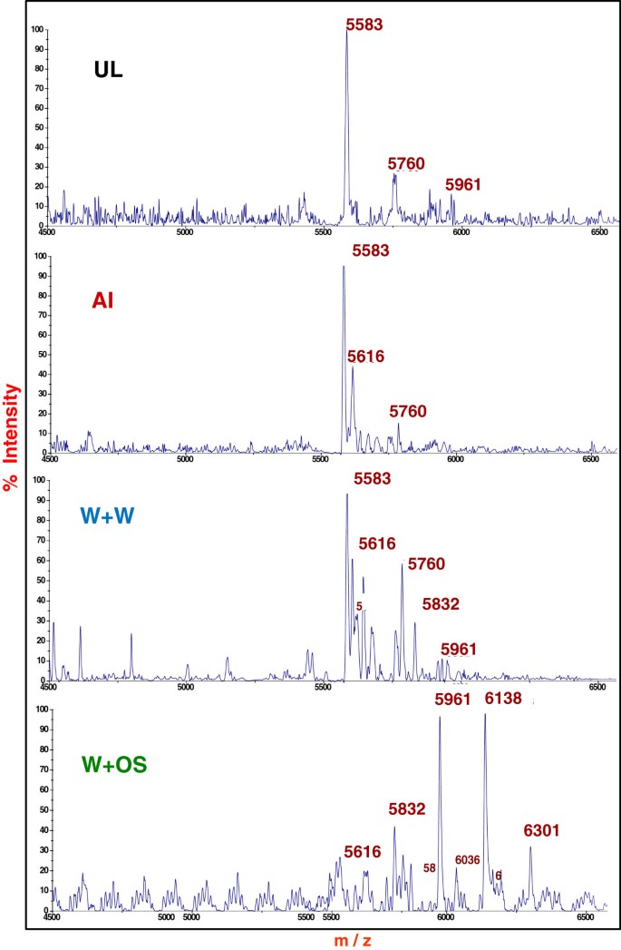 figure6