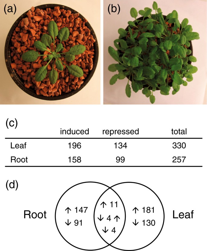 figure2