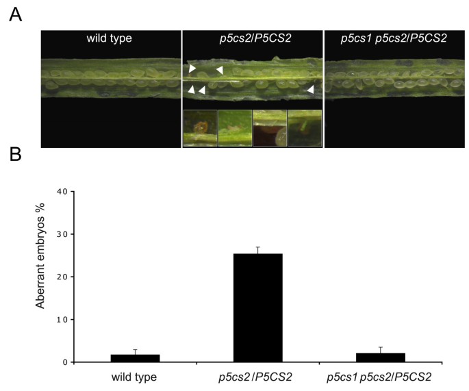 figure2