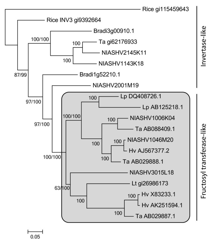 figure5