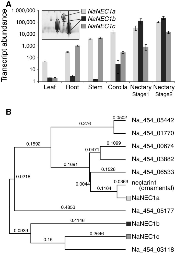 figure4