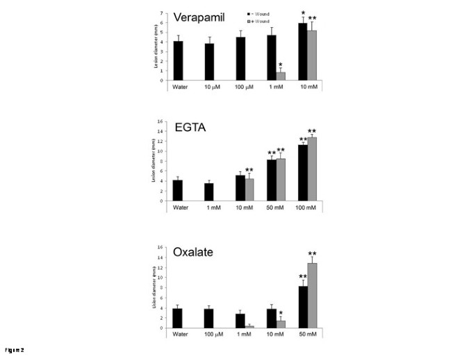 figure2