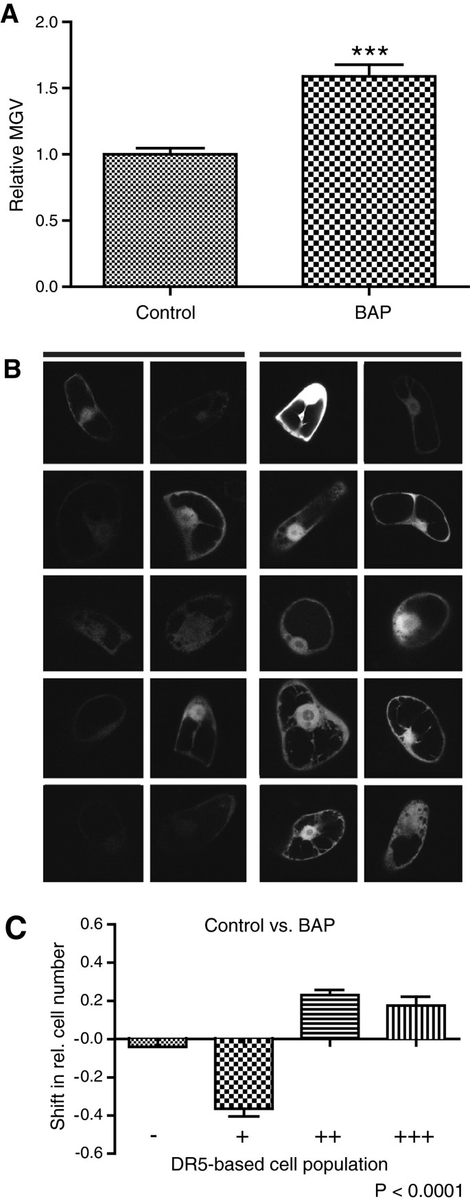 figure6