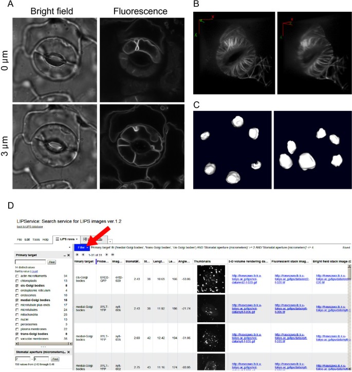 figure2