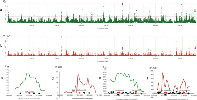 research papers on upland rice figure 3