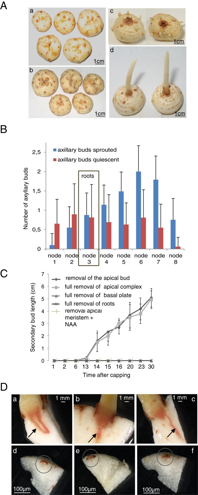 figure2