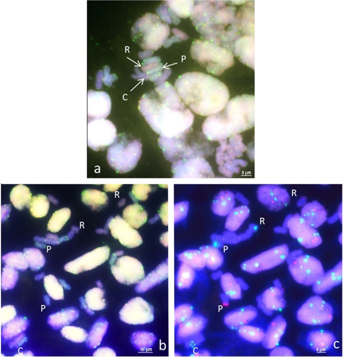 figure5gydF4y2Ba