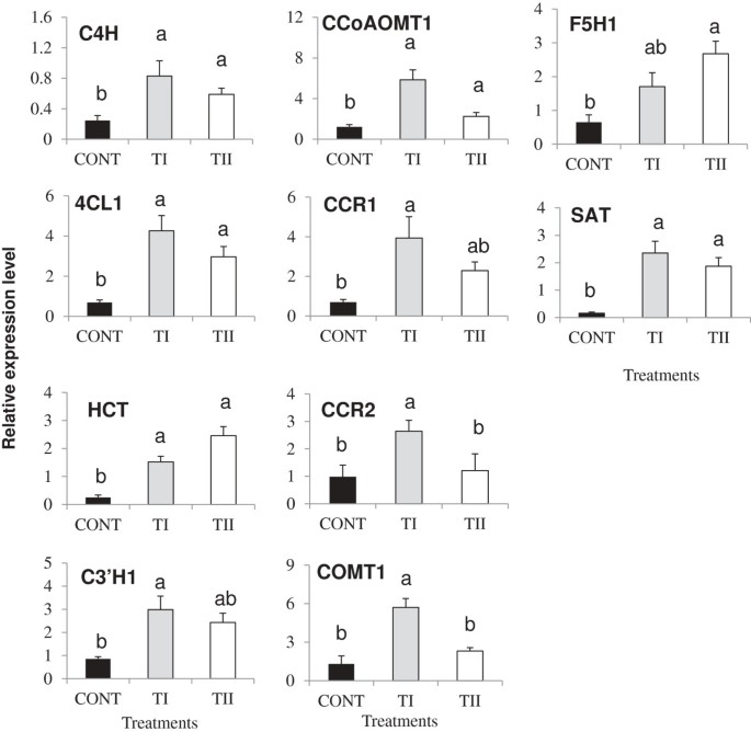 figure6