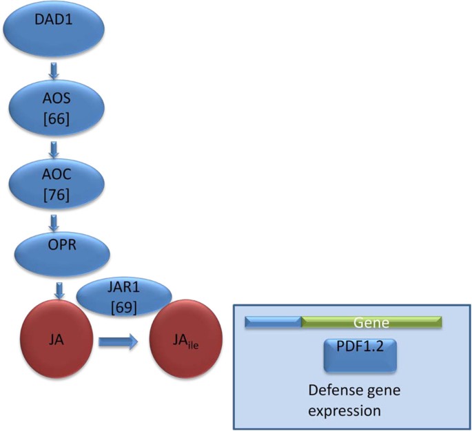 figure2gydF4y2Ba