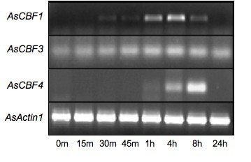figure6