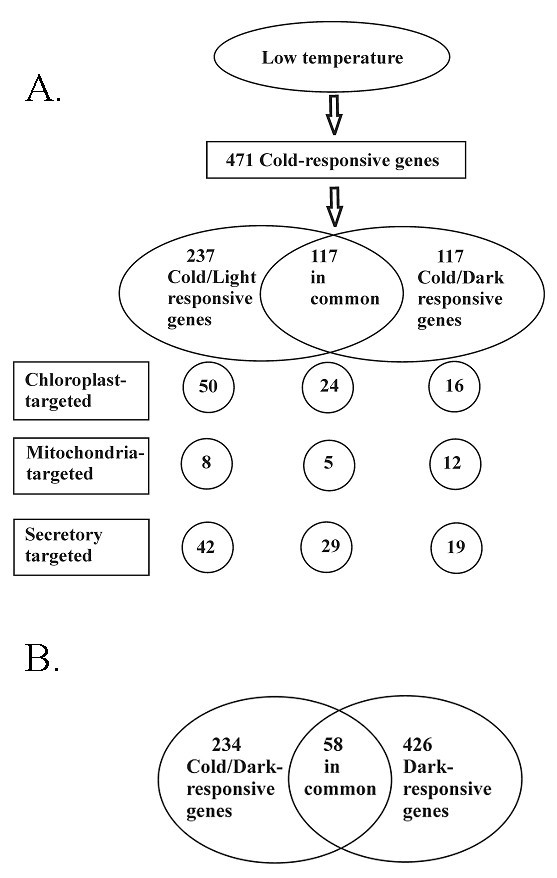 figure2