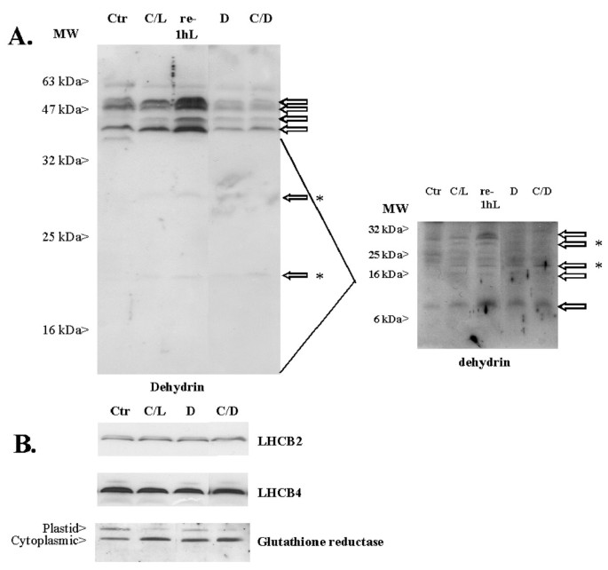 figure7