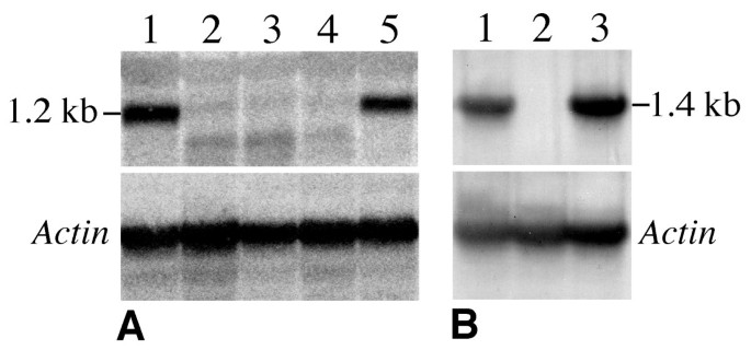 figure2