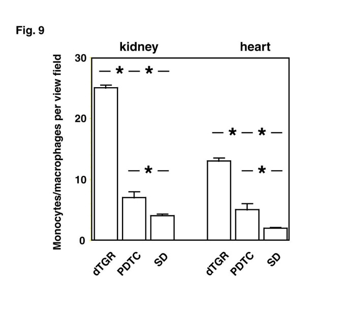 figure 24