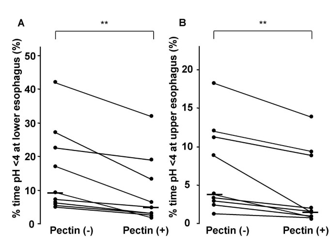 Effects Of Pectin Liquid On Gastroesophageal Reflux Disease
