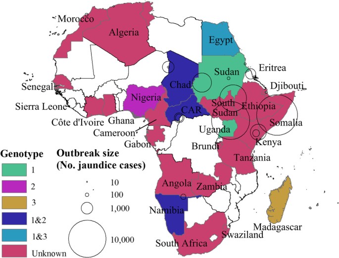 A systematic review of the epidemiology of hepatitis E virus in Africa |  BMC Infectious Diseases | Full Text