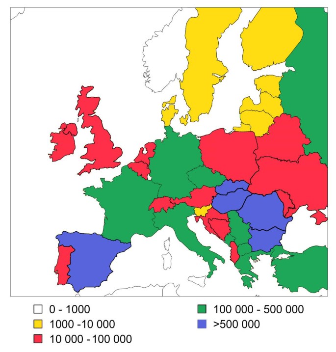 romani people migration