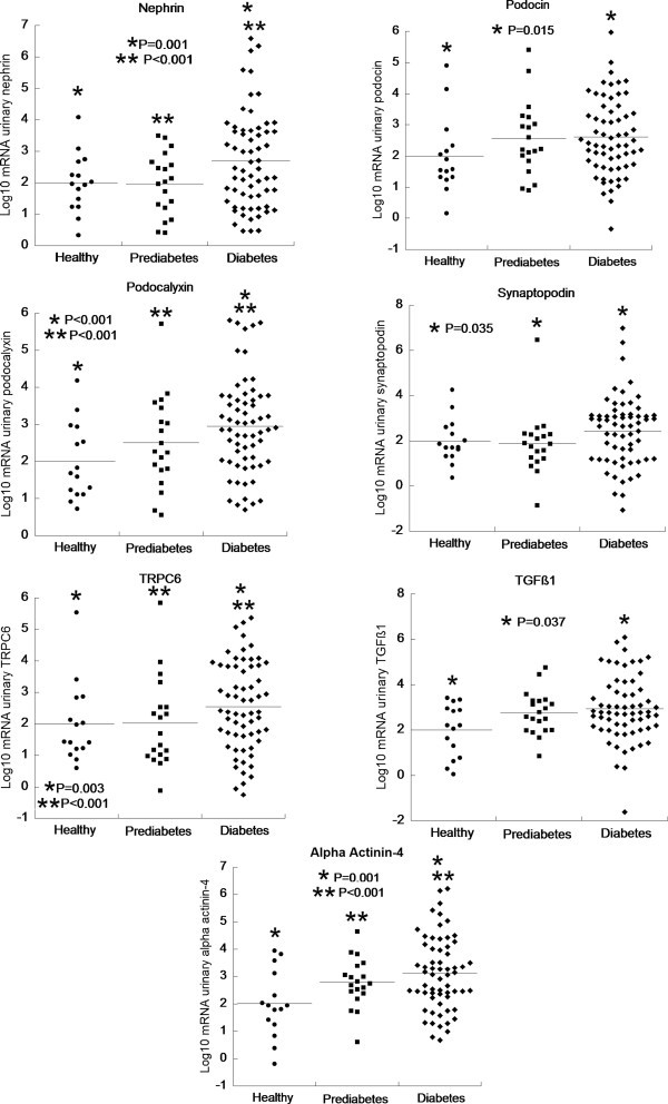 There is no correlation between podocyturia and the variables age