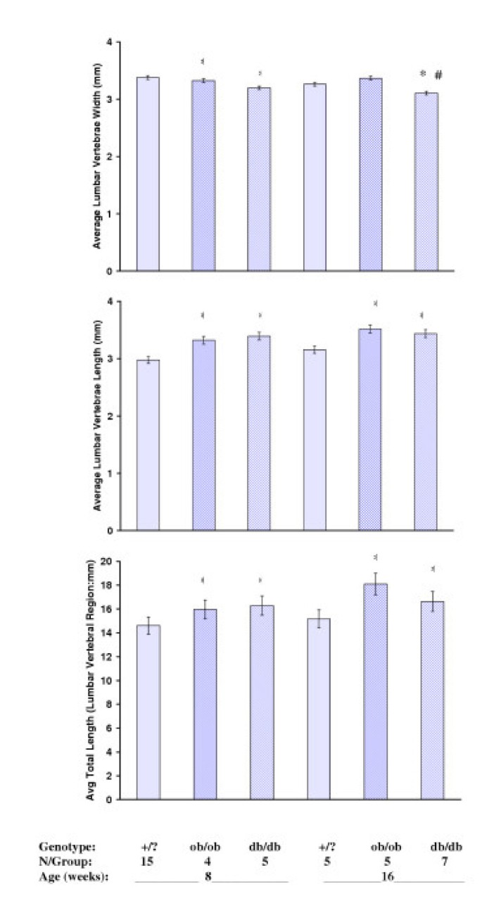 Influences of obese (ob/ob) and diabetes (db/db) genotype mutations on  lumber vertebral radiological and morphometric indices: Skeletal  deformation associated with dysregulated systemic glucometabolism | BMC  Musculoskeletal Disorders | Full Text