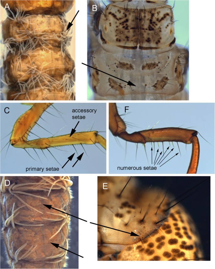 figure 15