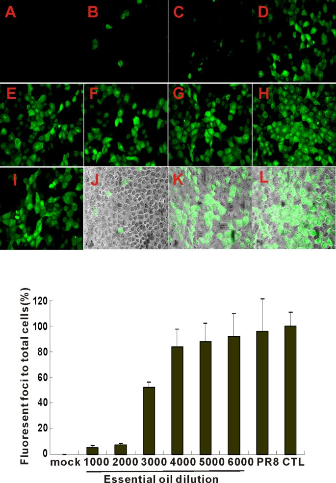 Protective essential oil attenuates influenza virus infection: An in vitro  study in MDCK cells | BMC Complementary Medicine and Therapies | Full Text