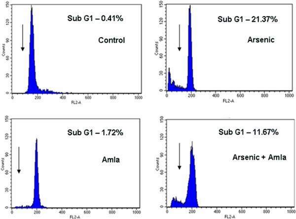 figure 11