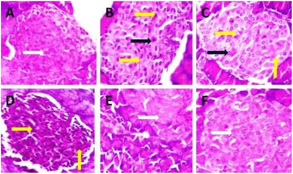 figure 24