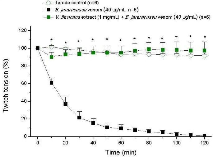 NERVE (PT) – A Chapada Samples