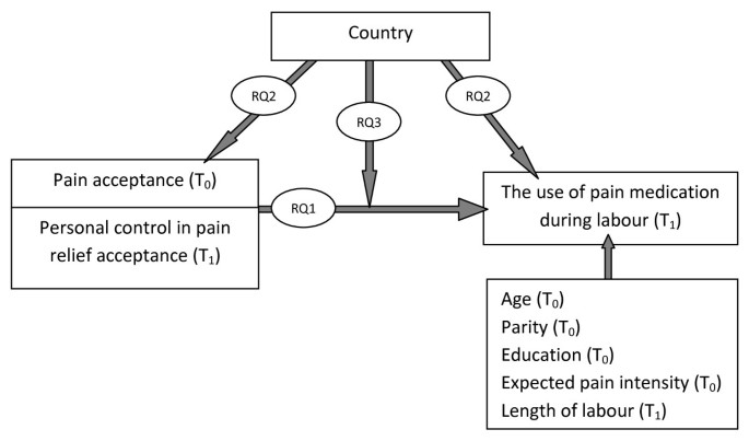 Pain Acceptance And Personal Control In Pain Relief In Two Maternity Care Models A Cross National Comparison Of Belgium And The Netherlands Bmc Health Services Research Full Text