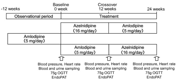 amlodipine in diabetic patients with hypertension diagram a cukorbetegség kezelés kábítószerekkel
