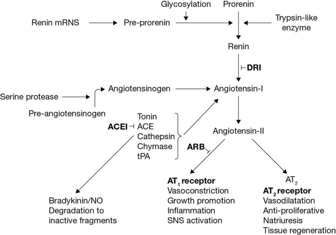 ace inhibitors and diabetes type 2 polineuropatía diabética simétrica distal