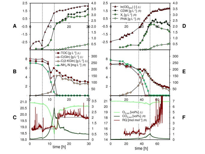 A Reduction In Growth Rate Of Pseudomonas Putida Kt2442 Counteracts Productivity Advances In Medium Chain Length Polyhydroxyalkanoate Production From Gluconate Microbial Cell Factories Full Text