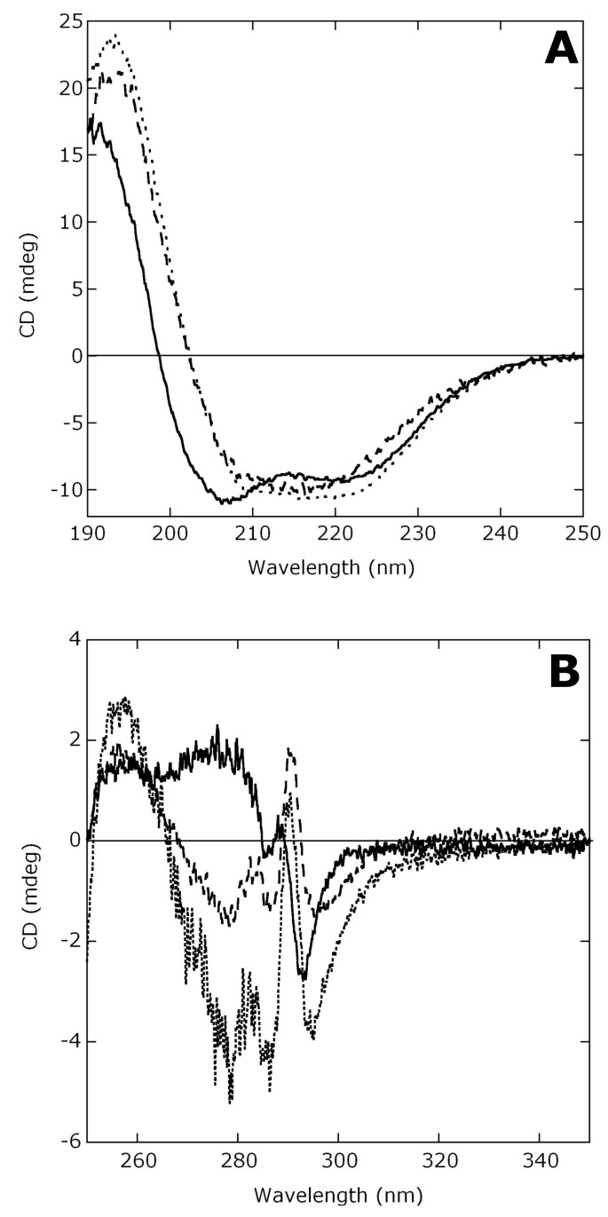Optimizing Escherichia coli as a protein expression platform to produce  Mycobacterium tuberculosis immunogenic proteins | Microbial Cell Factories  | Springer Nature Link