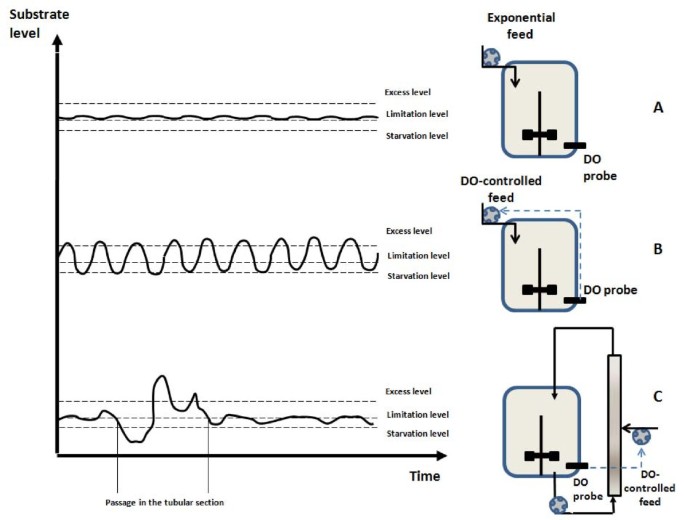 Bioreactor Mixing Efficiency Modulates The Activity Of A Prpos Gfp Reporter Gene In E Coli Microbial Cell Factories Full Text