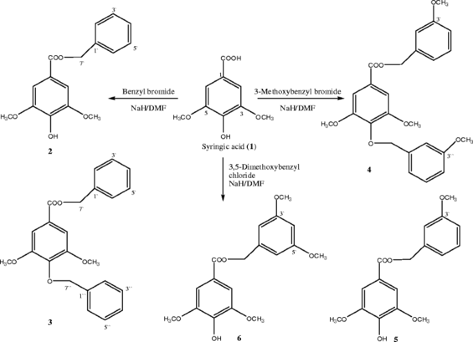 scheme 1