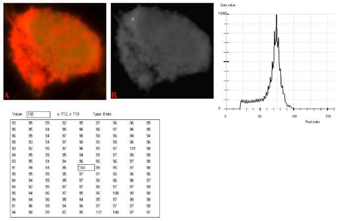 figure 18